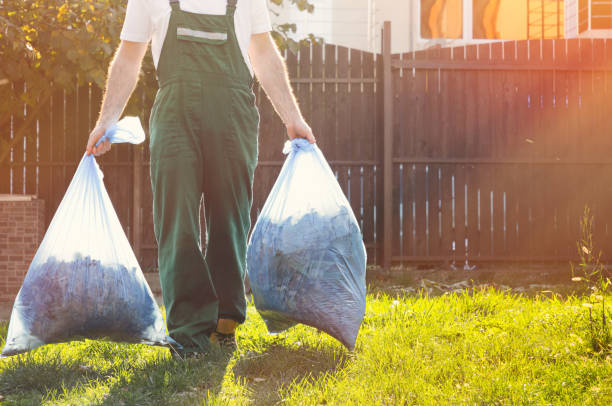 Best Same-Day Junk Removal  in Canon, GA